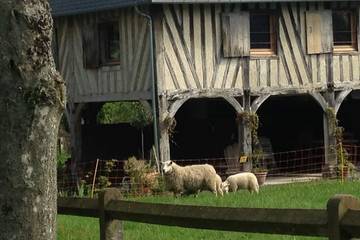 Gîte pour 6 personnes, avec jardin, animaux acceptés à Les Authieux-sur-Calonne