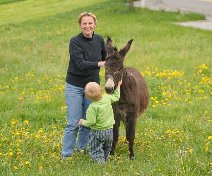 Bauernhof für 5 Personen, mit Sauna und Garten, kinderfreundlich im Bayerischer Wald - 3