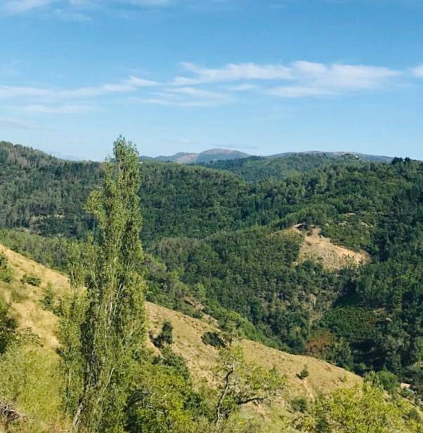 Location de vacances pour 6 personnes, avec vue et jardin à Saint-Étienne-de-Serre - 2