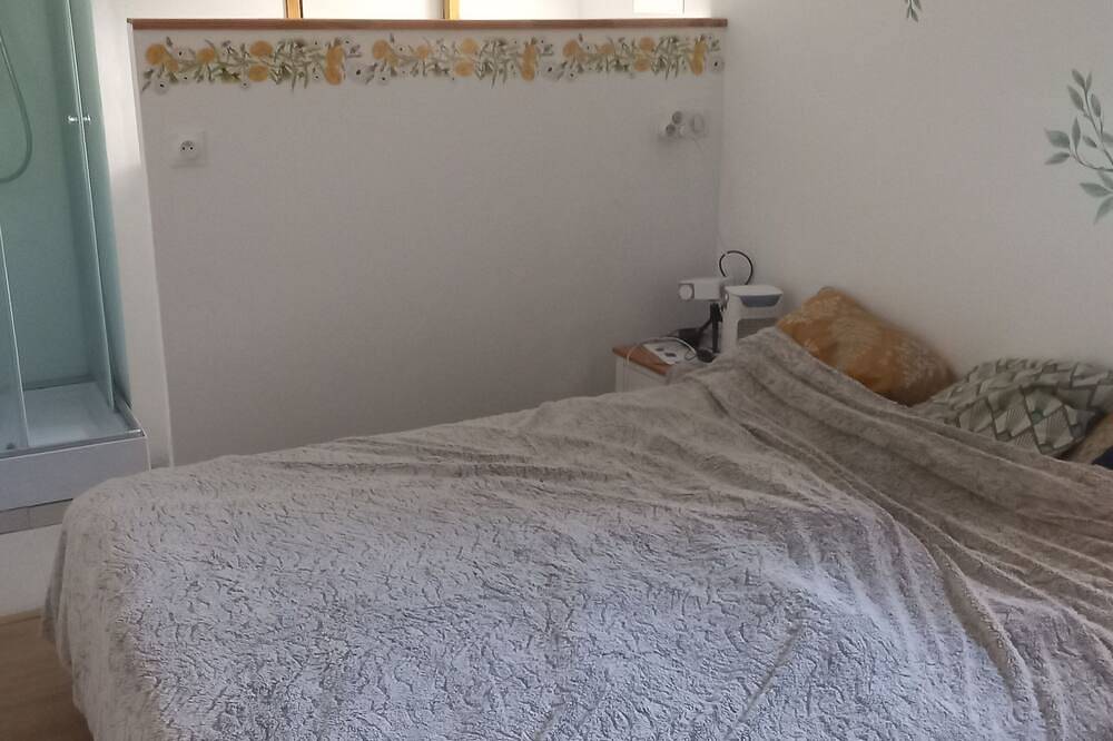 House with swimming pool near Salon de Provence in Pélissanne, Region de Aix-en-Provence