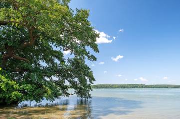 Ferienhaus für 4 Personen in Warin, Mecklenburgische Seenplatte, Bild 1