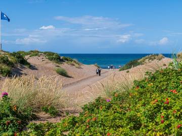 Ferieudlejning til 24 Personer i Asserbo, Halsnæs, Billede 3