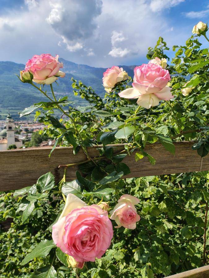 Dolce Dormire in Rovereto, Trentino