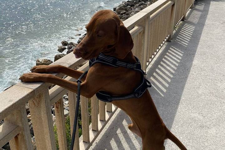 Ferienwohnung für 6 Personen, mit Terrasse und Garten in Leichlingen