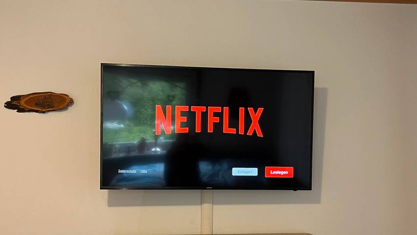 Gîte pour 4 personnes, animaux acceptés à Freiamt - 2