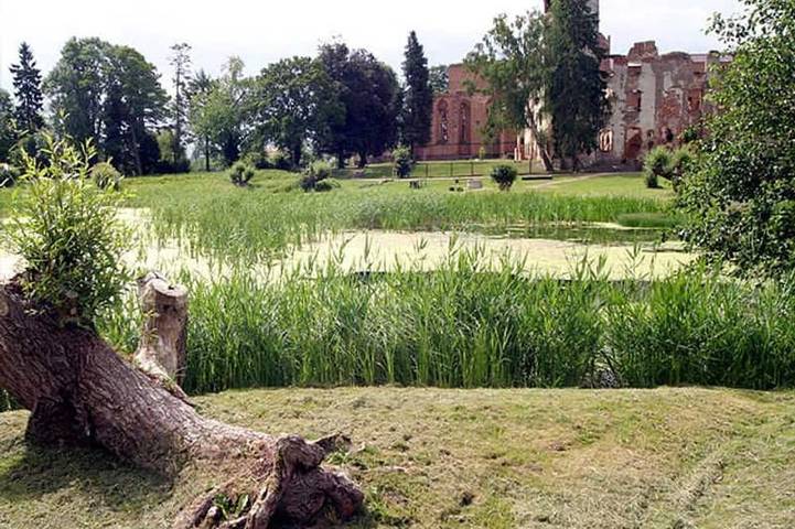 Ferienhaus für 2 Personen, mit Garten in Dargun - 3