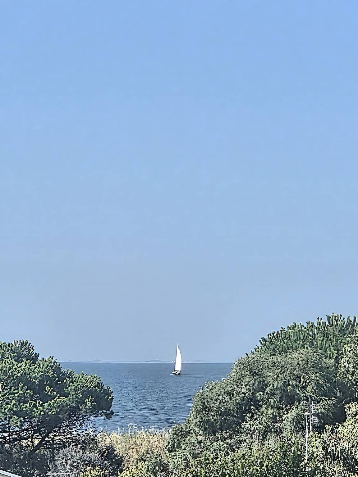 Villa Ty Killy Uitzonderlijk zeezicht Strand op 1 min lopen 6 tot 8 pers in Sarzeau, Côte des Mégalithes