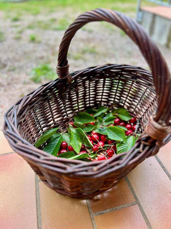 Hôtel pour 2 personnes, avec balcon et jardin à Castelnau-Magnoac - 3
