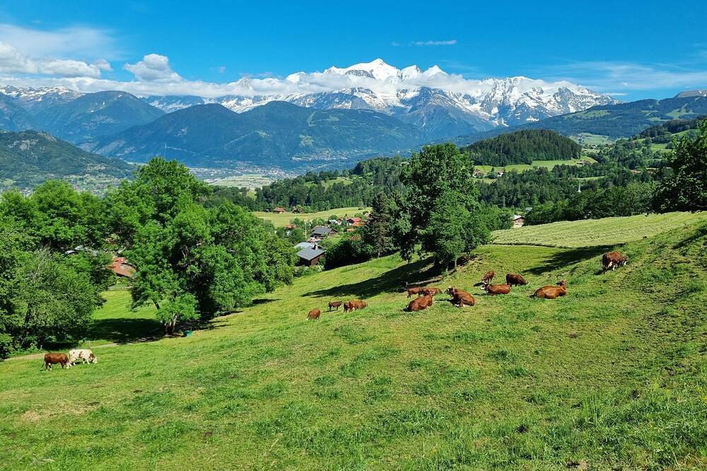 Appartement entier, Village pittoresque dit le Balcon du Massif du Mont-Blanc in Cordon, Pays du Mont-Blanc