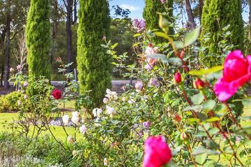 Holiday Home for 19 People in Lovedale (NSW), Hunter Valley, Photo 2