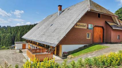 Ferienhaus für 2 Personen, mit Garten, mit Haustier in Suedlicher Schwarzwald