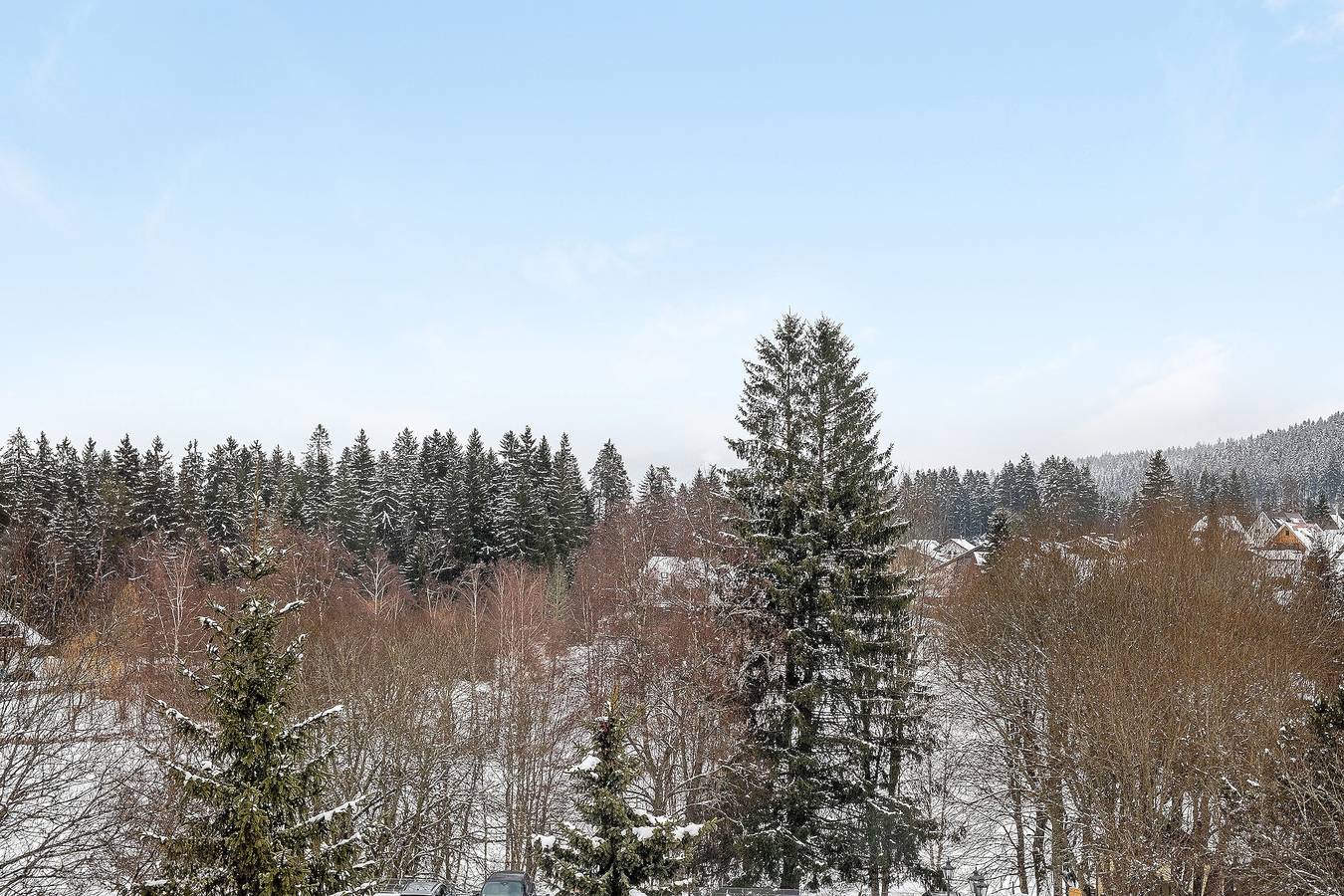 Apartamento entero, Apartamento '10' con Wi-Fi in Hinterzarten, Selva Negra (zona sur)
