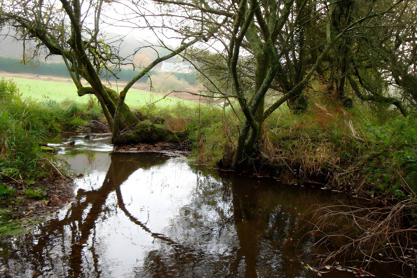Chambre d’hôtes « A L’abri - An Douar La Terre » avec terrasse, jardin partagés et Wi-Fi in Saint-Nolff, Parc naturel régional du Golfe du Morbihan
