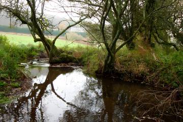 Chambre D’hôte pour 2 Personnes dans Saint-Nolff, Région de Vannes, Photo 4