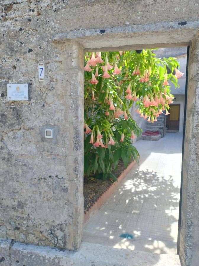 Casa vacanza per 4 persone, con panorama e giardino, con animali domestici - 1