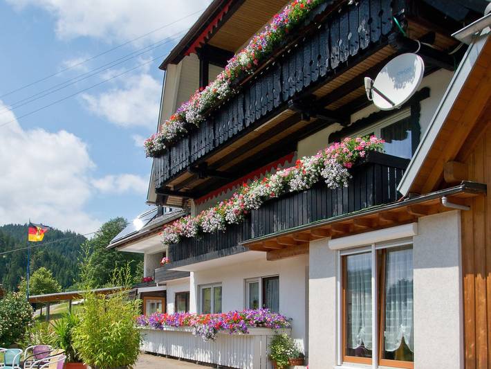 Ferienwohnung für 2 Personen, mit Balkon in Nationalpark Schwarzwald - 3