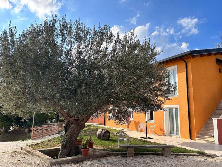 Agriturismo per 4 persone, con Terrazza e Giardino nonché Piscina e Panorama a San Severino Marche