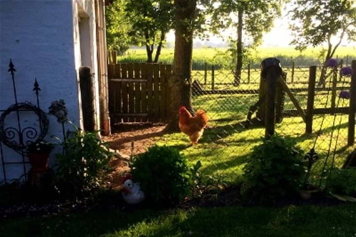 Ferienwohnung für 4 Personen, mit Garten in Norddeich (Schleswig-Holstein) - 2