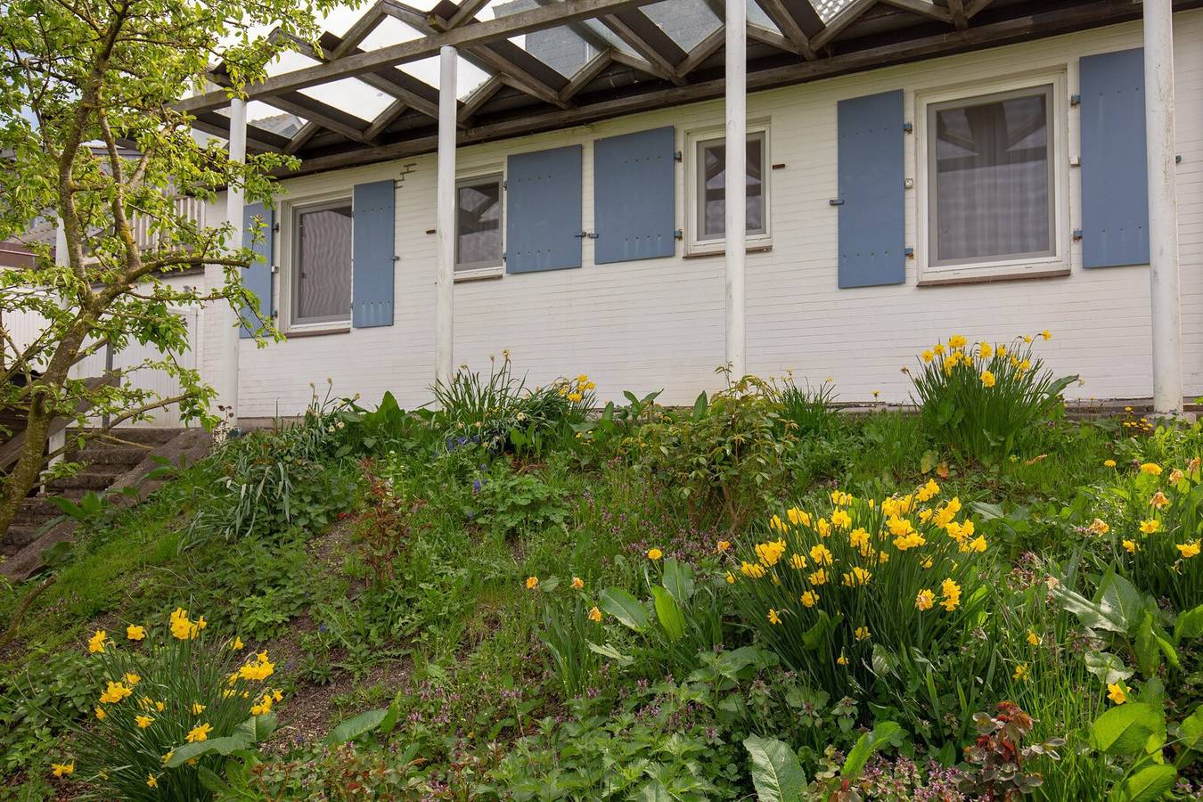 Ganze Wohnung, Ferienwohnung Austernfischer in Pellworm, Nordfriesland