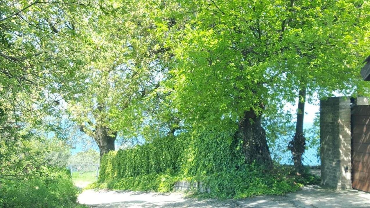 Agriturismo Rifugiomare in Rocca San Giovanni, Provincia di Chieti