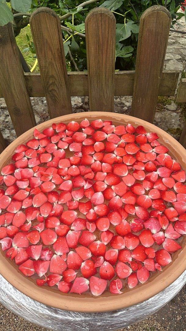 Chambre d’hôte pour 5 personnes, avec piscine et jardin en Bourgogne - 4