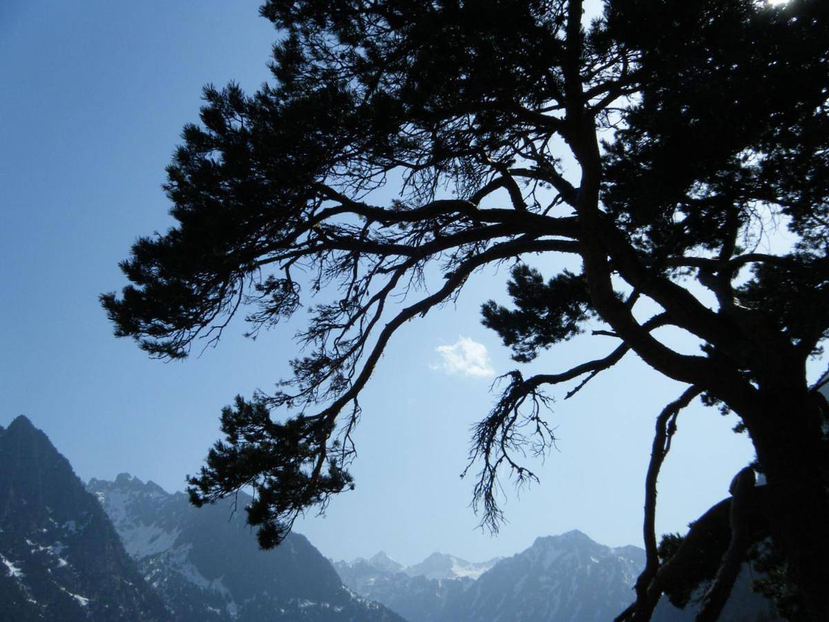 Bel Arrayo - gîte d'accueil de montagne - chambres d'hôtes in Cauterets, Parc national des Pyrénées