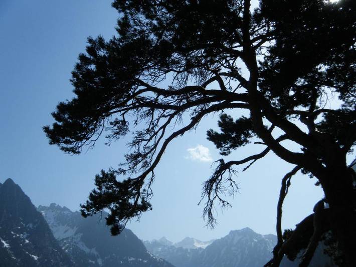 Chambre d’hôte pour 6 personnes, avec vue et jardin, animaux acceptés dans les Pyrénées - 2