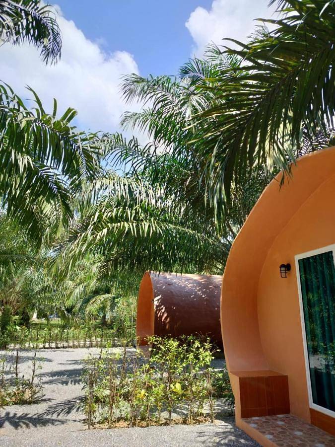 Hôtel pour 4 personnes, avec jardin et vue dans Khao Sok - 3