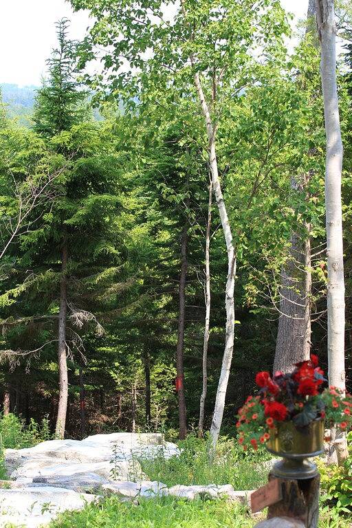 Vacation rental for 2 people, with yard and balcony in Mount Desert Island