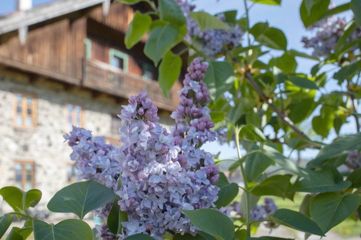 Bauernhof für 4 Personen, mit Balkon und Balkon/Terrasse in den Bayerische Alpen - 4