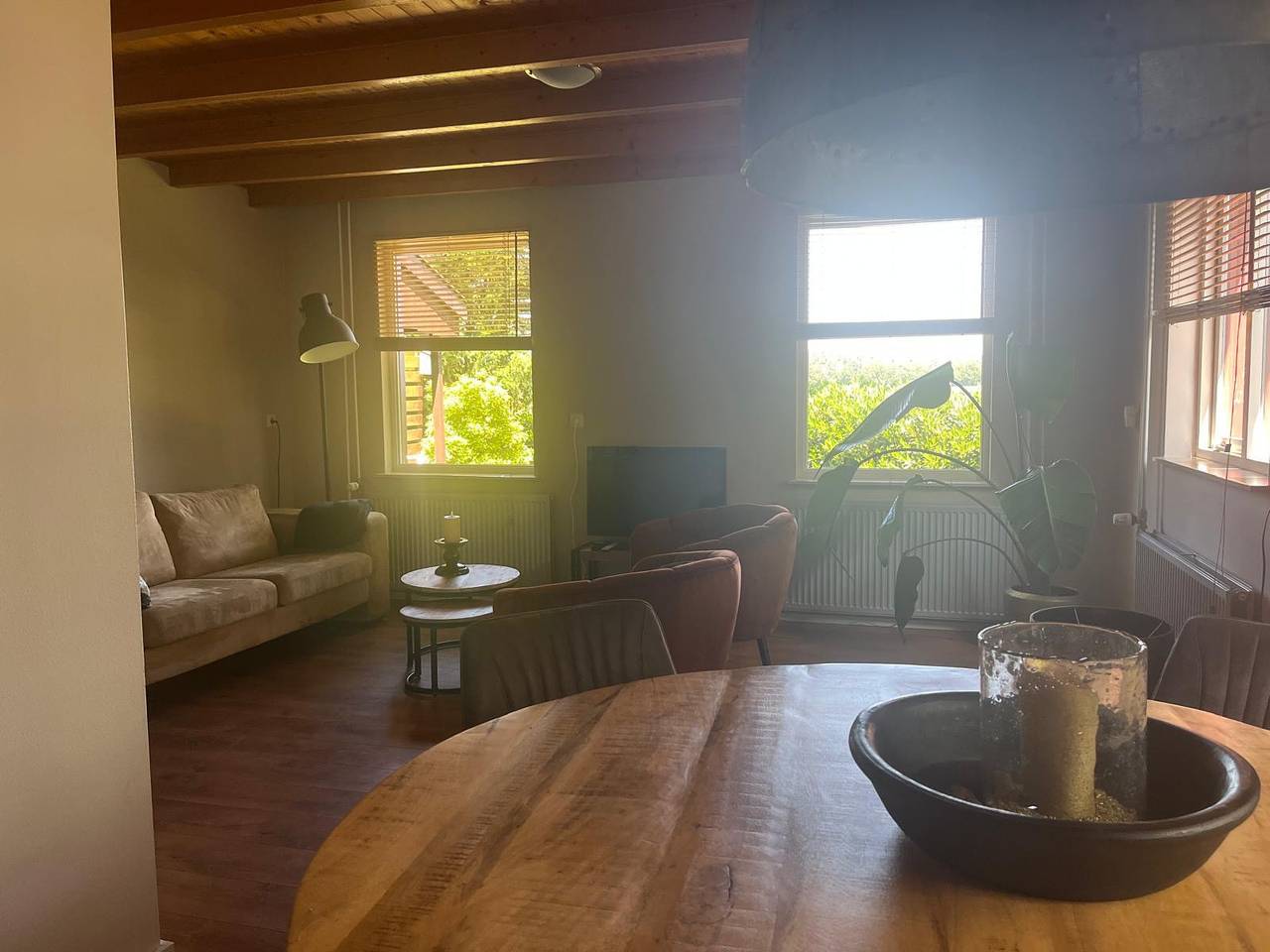 Gelijkvloers vakantiehuis voor 3 personen met weids uitzicht, in het groen nabij Borger in Borger, Drenthe