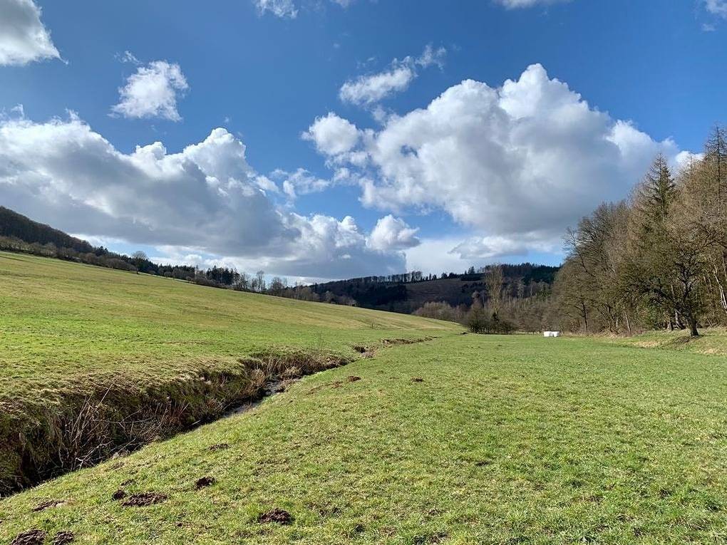 Ganze Ferienwohnung, Auszeit Loft im Wanderparadies in Hessisch Lichtenau, Werra-Meißner-Kreis