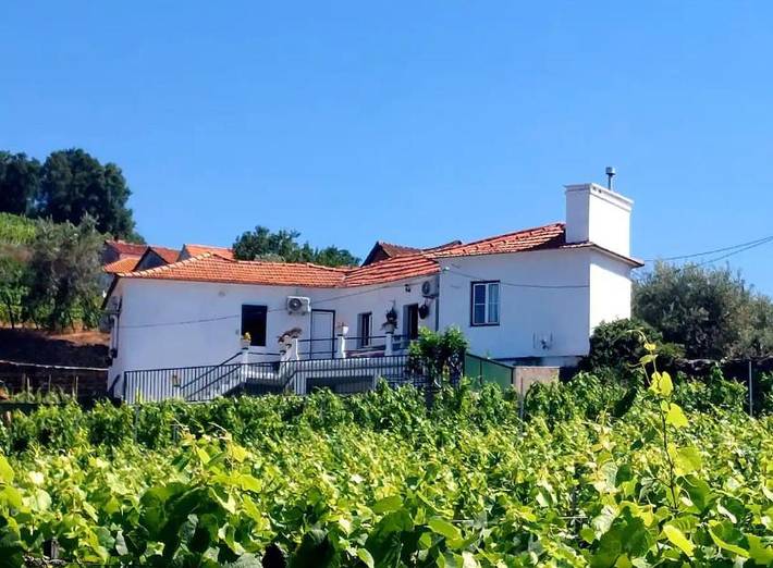 Location de vacances pour 9 personnes, avec jardin ainsi que piscine et vue dans Mesão Frio