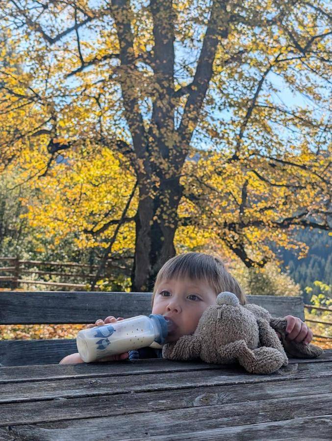 Location de vacances pour 8 personnes, avec vue et jardin, animaux acceptés dans Eberstein - 4