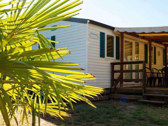Mobil home pour 6 personnes, avec bassin pour enfant, animaux acceptés à Montolieu - 2
