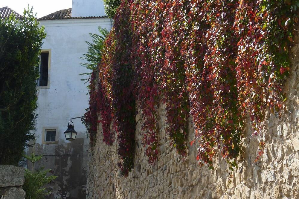 Casa do Becco da Forçada nº 6, foto 14