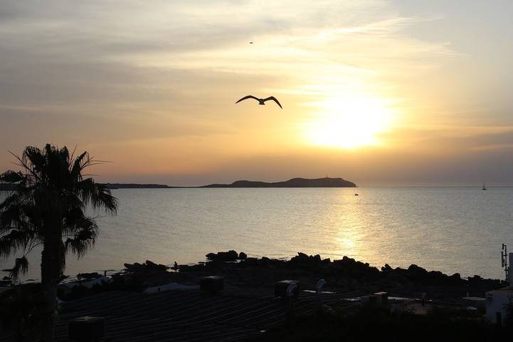 Apartment for 4 people, with balcony and pool as well as hot tub in Ibiza