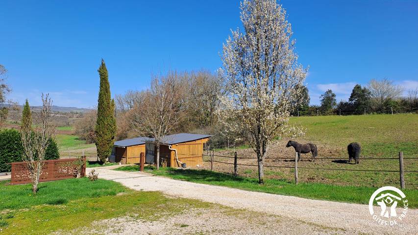 Gîte pour 4 personnes, avec jardin et piscine à Castelnau-de-Montmiral - 4