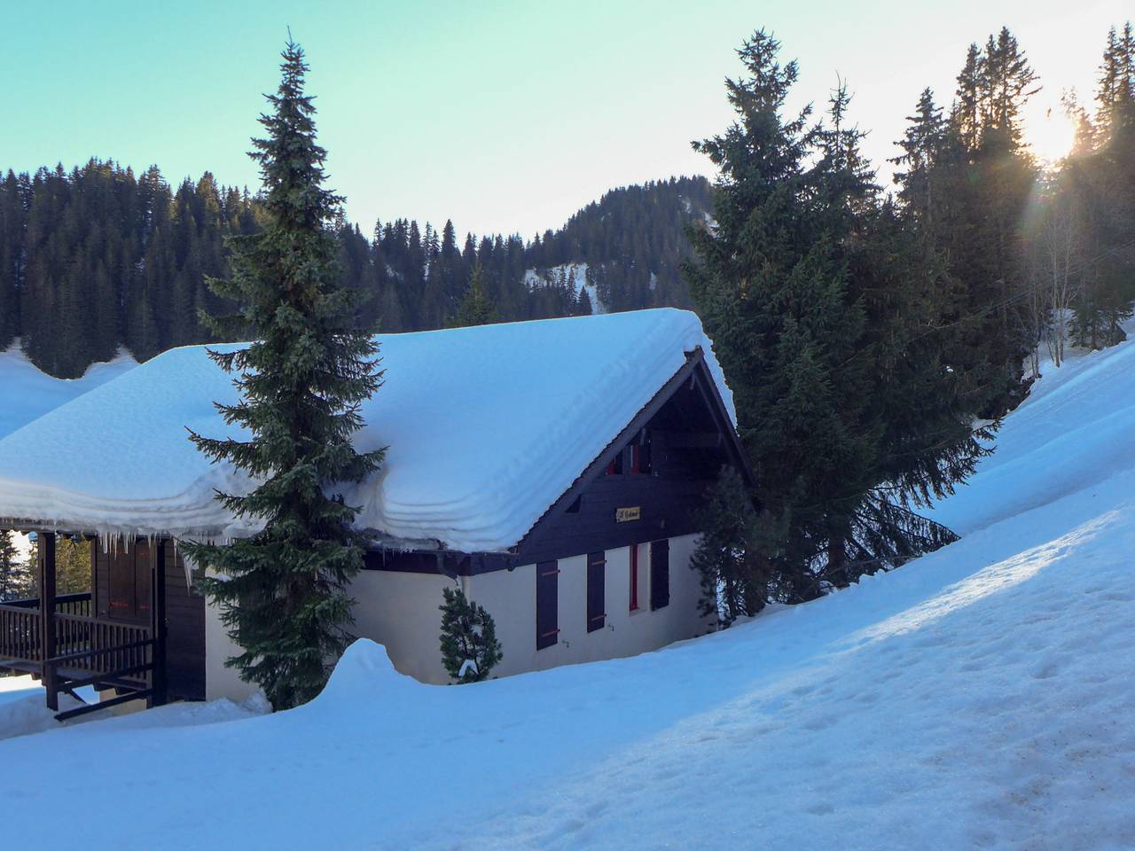 Le Cyclamen in Champoussin, Val-d'Illiez