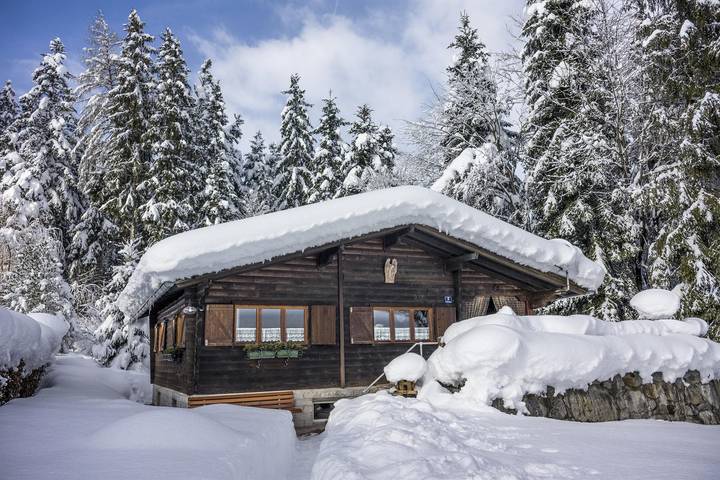 Ferienhaus für 5 Personen, mit Terrasse und Garten, kinderfreundlich in den Kitzbüheler Alpen - 2