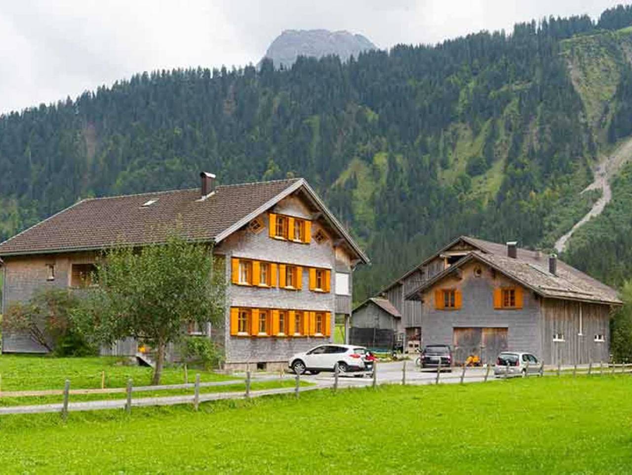 Ferienbauernhof Nigsch in Schoppernau - Ferienwohnung Gräsalpe in Schoppernau, Bregenzerwald