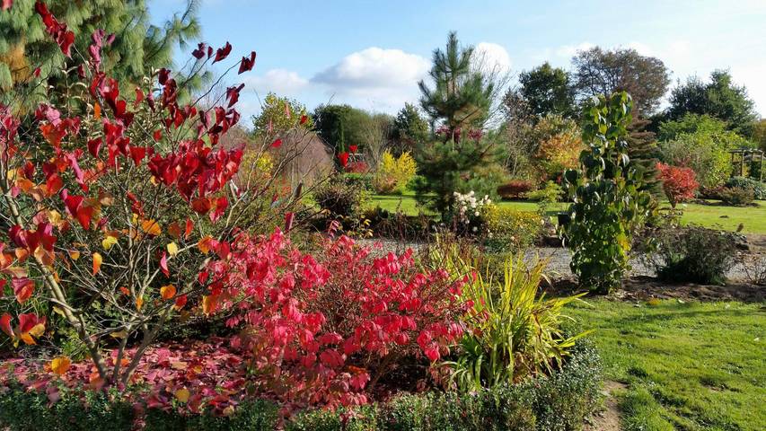Gîte pour 4 personnes, avec jardin et terrasse, animaux acceptés à La Lucerne-d'Outremer - 2