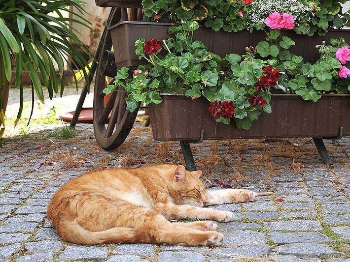 Ferienwohnung für 4 Personen in Sächsisches Elbland - 4