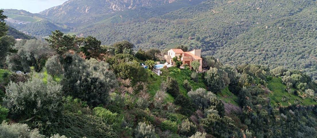 Villa pour 8 personnes, avec terrasse ainsi que piscine et jardin, animaux acceptés à Ajaccio