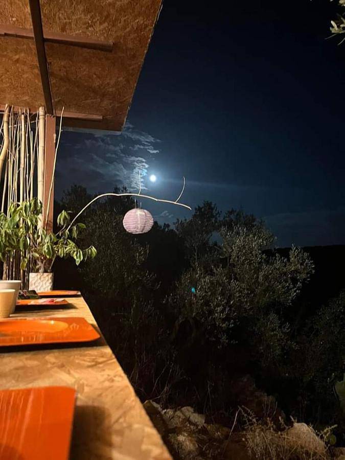 Gîte pour 4 personnes, avec terrasse ainsi que jardin et vue, animaux acceptés à Corato - 4