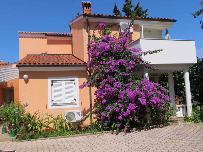 Studio für 2 Personen, mit Garten in Premantura - 2