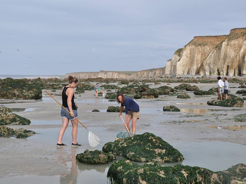 Gîtes de France® - La Frégate des Aoûtés in Hautot-l'Auvray, Région du Havre