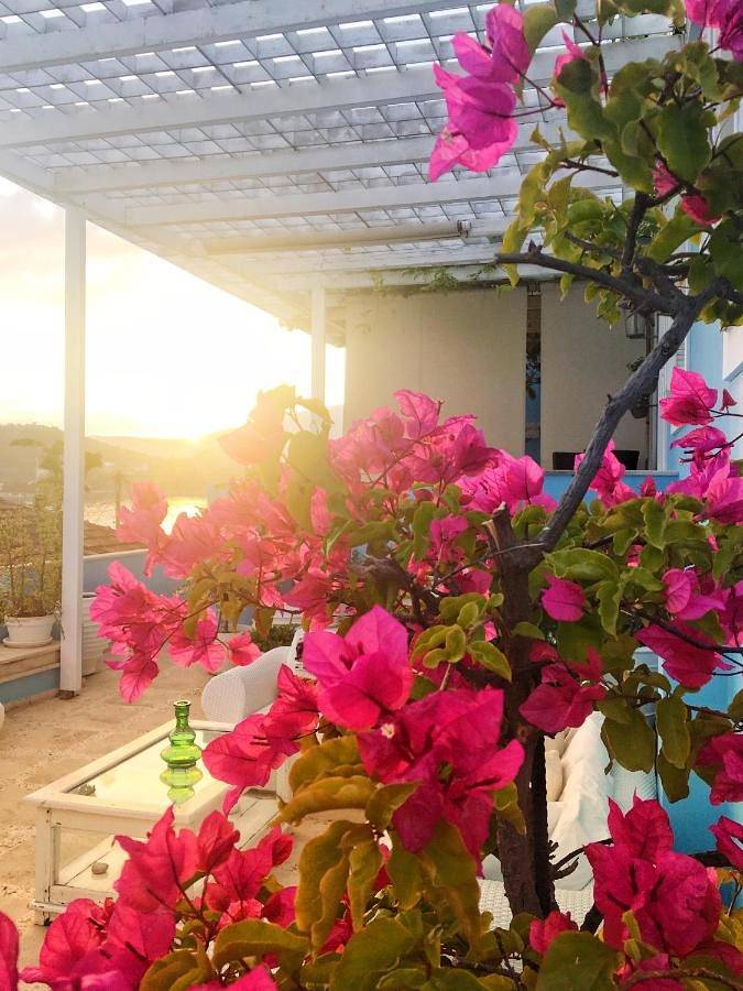 Hôtel pour 3 personnes, avec terrasse, animaux acceptés dans Vathy - 4