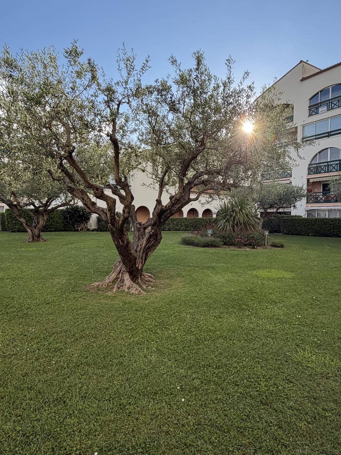 Appartement entier, Terrasses du Lac – vue lac piscine clim parking terrasse in Port Camargue, Le Grau-du-Roi