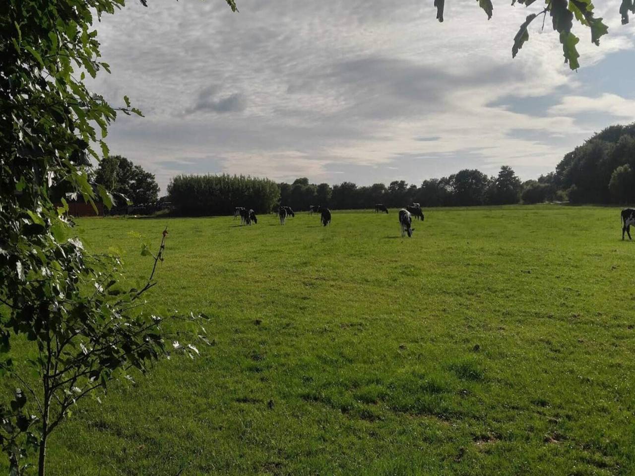 4 person holiday home in Ansager-By Traum in Ansager, Varde Region